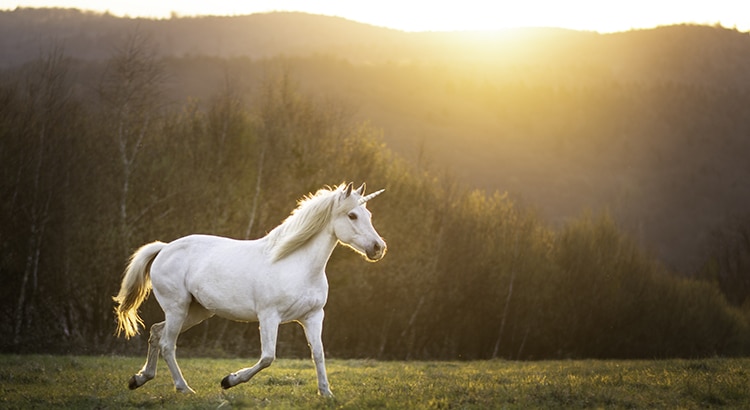 You are currently viewing Today’s Real Estate Market: The ‘Unicorns’ Have Galloped Off